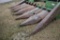 John Deere 6 Row Corn Head, Steel Snouts, Misc. Snouts, Been Sitting