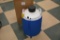US Solid 20L Nitrogen Tank, Semen Tank, NIB