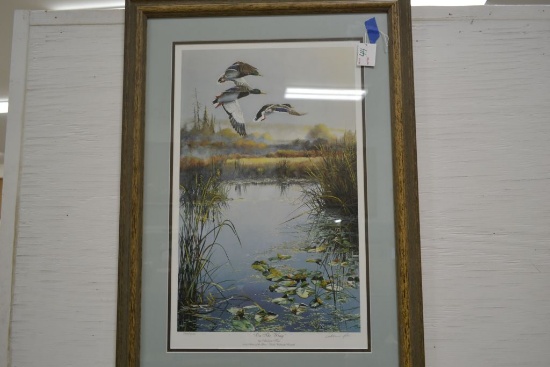 "On the Wing" By Andrew Kiss, Matted and Framed Print, Signed and Numbered 2509/5050, 25"x35", Ducks