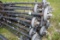 21 - Dexter Drum Brake Axles 5200 lb. 74