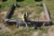 3pt Tractor Bale Unroller