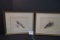 Pair of Vintage Framed Bird Prints; 12