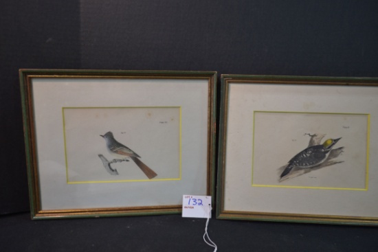 Pair of Vintage Framed Bird Prints; 12"x10"; One missing glass.
