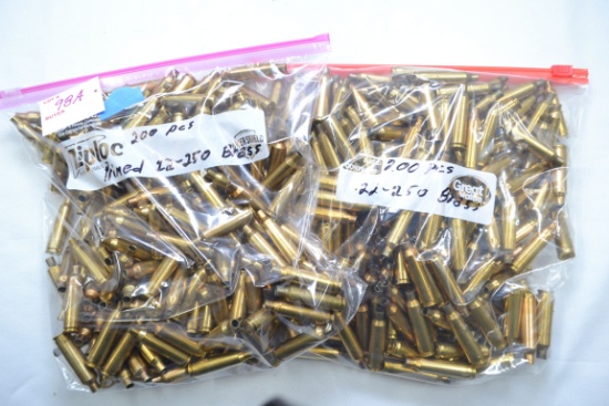 1 Lot of Approx. 400 Pieces .22-250 Primed Brass