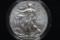 2015-W American Silver Eagle; Burnished; Very Low Mintage in Capsule