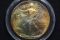 1993 American Silver Eagle; Gem++ Rainbow Toned in Capsule