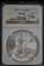 2009 American Silver Eagle; MS-69 NGC