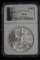 2009 American Silver Eagle; MSG 69-NGC