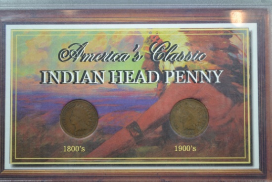 Indian Head Penny Display Case