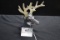 Buck Hood Ornament w/Lighted Lucite Antlers; 6