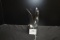 Two-Winged Hood Ornament Attachment; 7