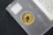 Canadian Gold Maple Leaf 1/10 oz. Coin; .999 Pure Gold