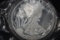2019 Silver Eagle 1 oz. Coin