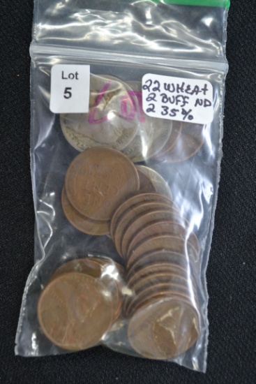 Bag of Coins including 22 Wheat Cents, 2 Buffalo Nickels (No Date) and 2 Buffalo Nickels (35% Silver