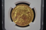 2010 Buffalo Fifty Dollar 1 oz. Gold Coin; MS-70