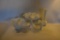 Group of 4 White Milk Glass Hobnail Vases and Candy Dishes