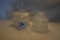 Pair of Cut Crystal Condiment Dishes w/Spoons