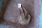 Vintage Metal and Wood Pulley