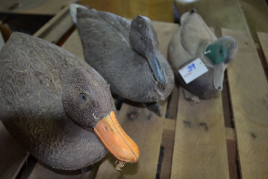 Group of 3 Plastic Duck Decoys