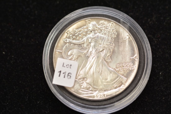 1987 Silver Eagle; BU