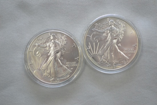 2 - 2022-W Silver Eagles; 2xBID