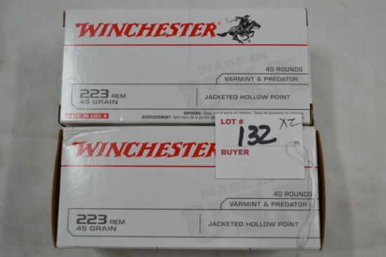 2 Boxes - Winchester .223 Rem. 45 gr. JHP; 40 Rds./Box; 2xBID