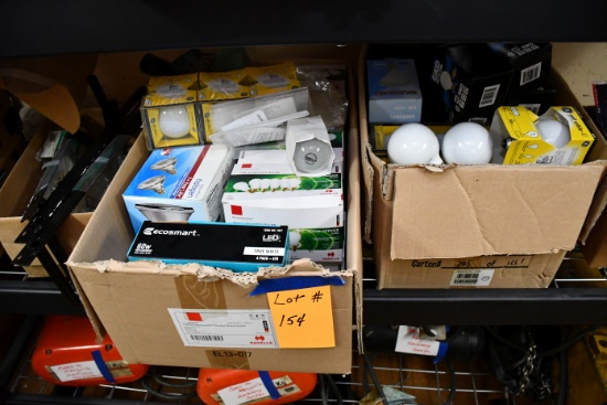 1 Lot of Light Bulbs, Various Sizes; Some LEDs