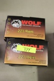 TWO HUNDRED (200) ROUNDS WOLF GOLD, .223 REM AMMO, 55 GR COPPER FMJ