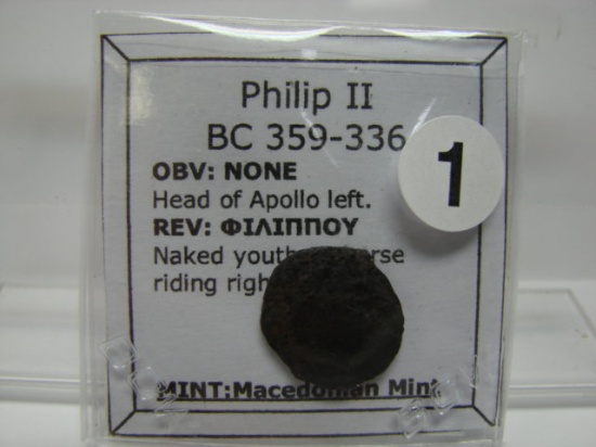 Ancient Roman Coin Philip II BC 359-336 Mint Macedonian