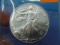 2004 American Silver Eagle Bullion Dollar