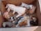Big Lot Of Assorted Animal Figurines - Dogs & More