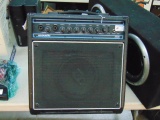 Acoustic 30-Watt Guitar Amplifier