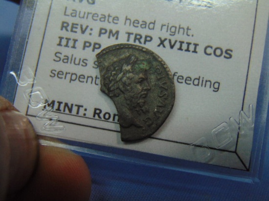 Ancient Roman Silver Denarius - Septimius Severus