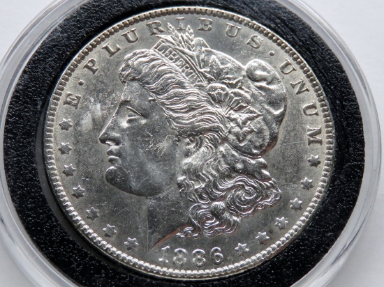 Morgan $ 1886 Unc obv bag marks, in Cointain