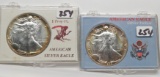 2 American Silver Eagles 1987 & 1988 Beautiful toning in presentation cases