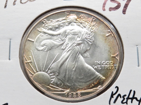American Eagle Silver $ 1988 BU Beautiful rim toning