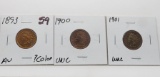3 Indian Cents: 1893 AU ?color, 1900 Unc, 1901 Unc