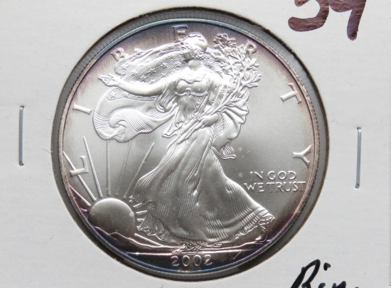 2002 Silver American Eagle CH BU rim toning