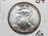 2001 Silver American Eagle CH BU rim toning