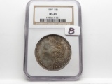 Morgan $ 1887 NGC MS63 (Toning)