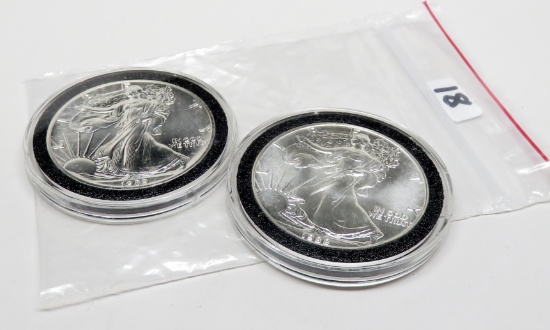 2 Silver American Eagles in plastic round BU:  1988, 1989