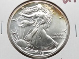 Silver American Eagle 1989 BU toning