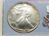 Silver American Eagle 1992 BU toning, in case