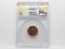 Indian Cent 1891 ANACS MS60 polished