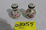 China painted salt & pepper.