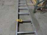 Werner 12' extendable ladder.