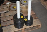 2 Stacks of Olympic Size Weights 5lb and 2.5 lb