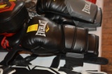 Everlast Protex 2 Boxing Gloves