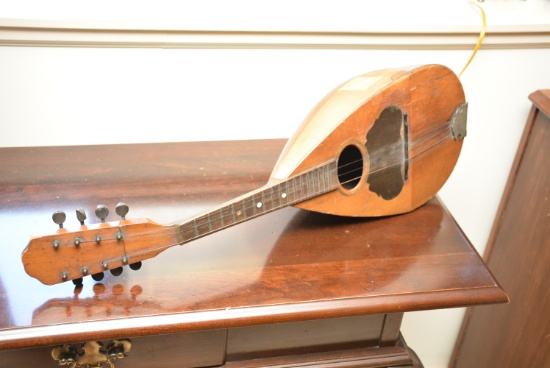 Mandolin