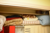 Shelf Of Blankets & Linens